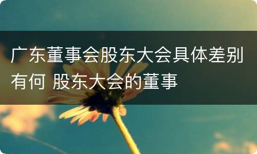 广东董事会股东大会具体差别有何 股东大会的董事