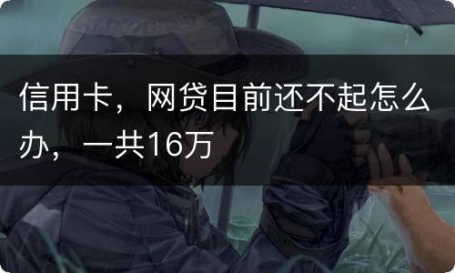 信用卡，网贷目前还不起怎么办，一共16万