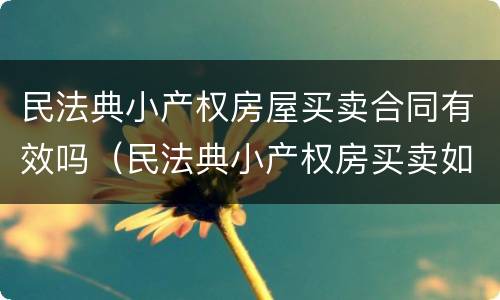民法典小产权房屋买卖合同有效吗（民法典小产权房买卖如何合法）