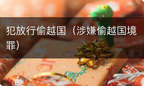 犯放行偷越国（涉嫌偷越国境罪）