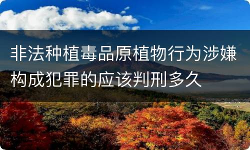 非法种植毒品原植物行为涉嫌构成犯罪的应该判刑多久