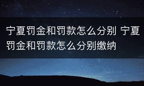 宁夏罚金和罚款怎么分别 宁夏罚金和罚款怎么分别缴纳