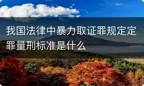 我国法律中暴力取证罪规定定罪量刑标准是什么