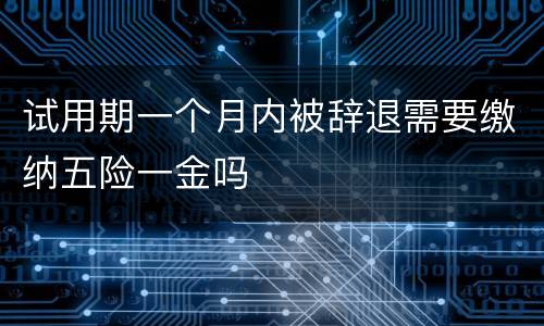 试用期一个月内被辞退需要缴纳五险一金吗