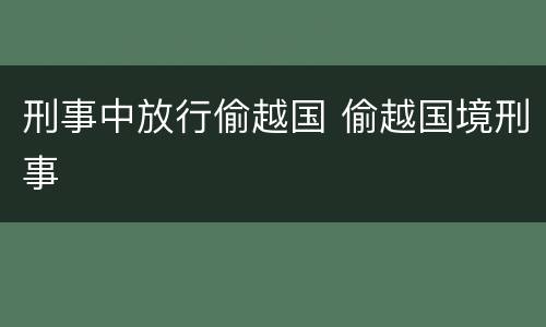 刑事中放行偷越国 偷越国境刑事