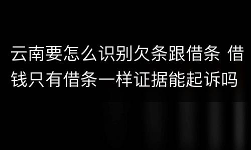 云南要怎么识别欠条跟借条 借钱只有借条一样证据能起诉吗