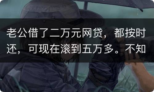 老公借了二万元网贷，都按时还，可现在滚到五万多。不知道怎么办