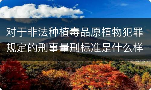 对于非法种植毒品原植物犯罪规定的刑事量刑标准是什么样的