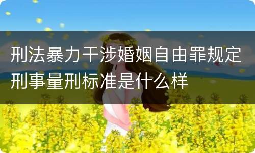 刑法暴力干涉婚姻自由罪规定刑事量刑标准是什么样