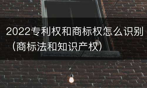 2022专利权和商标权怎么识别（商标法和知识产权）
