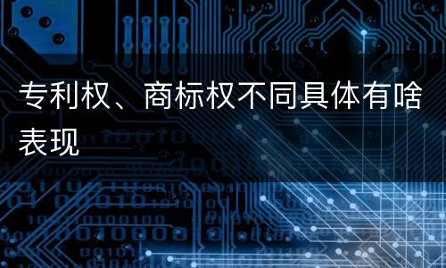 专利权、商标权不同具体有啥表现