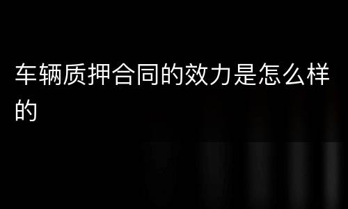 车辆质押合同的效力是怎么样的