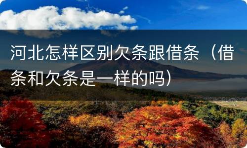 河北怎样区别欠条跟借条（借条和欠条是一样的吗）