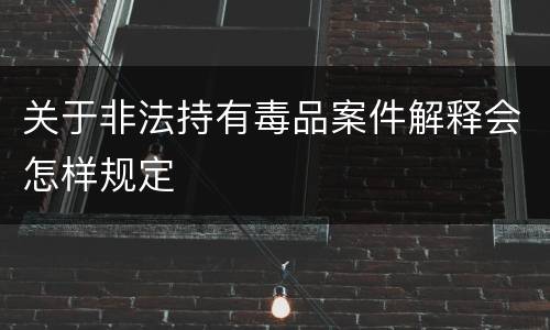 关于非法持有毒品案件解释会怎样规定