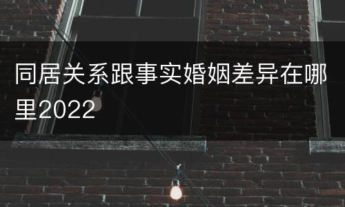 同居关系跟事实婚姻差异在哪里2022