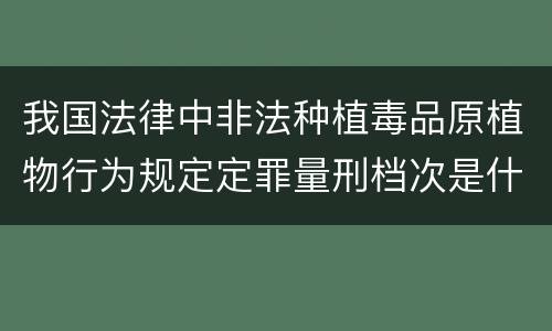 我国法律中非法种植毒品原植物行为规定定罪量刑档次是什么