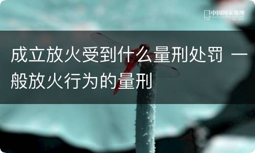成立放火受到什么量刑处罚 一般放火行为的量刑