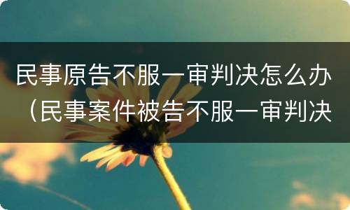民事原告不服一审判决怎么办（民事案件被告不服一审判决怎么办）