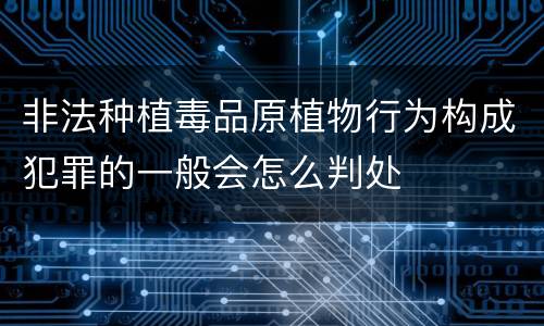 非法种植毒品原植物行为构成犯罪的一般会怎么判处