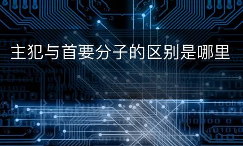 主犯与首要分子的区别是哪里