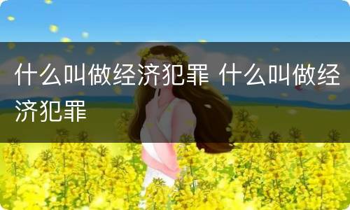 什么叫做经济犯罪 什么叫做经济犯罪