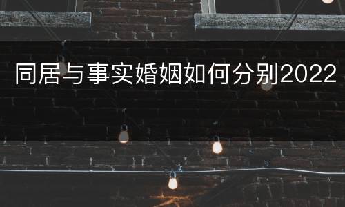 同居与事实婚姻如何分别2022