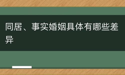 同居、事实婚姻具体有哪些差异
