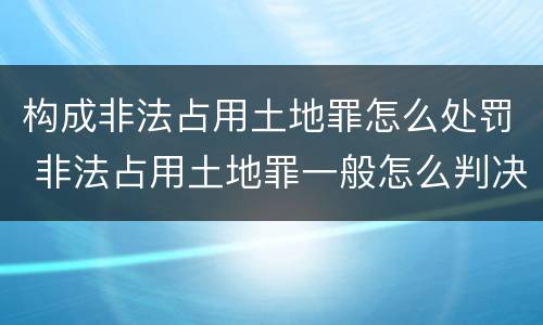 构成非法占用土地罪怎么处罚 非法占用土地罪一般怎么判决