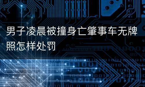 男子凌晨被撞身亡肇事车无牌照怎样处罚