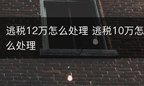逃税12万怎么处理 逃税10万怎么处理