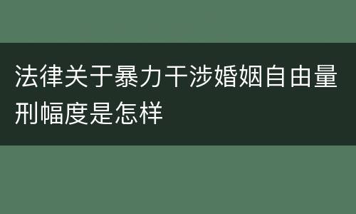 法律关于暴力干涉婚姻自由量刑幅度是怎样