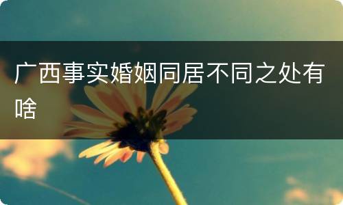 广西事实婚姻同居不同之处有啥