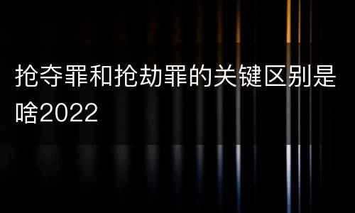 抢夺罪和抢劫罪的关键区别是啥2022