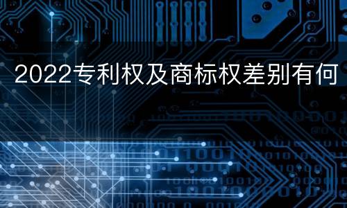 2022专利权及商标权差别有何