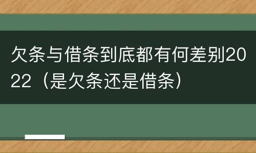 欠条与借条到底都有何差别2022（是欠条还是借条）
