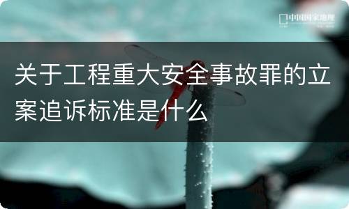 关于工程重大安全事故罪的立案追诉标准是什么