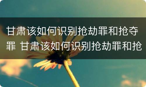 甘肃该如何识别抢劫罪和抢夺罪 甘肃该如何识别抢劫罪和抢夺罪呢