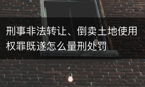 刑事非法转让、倒卖土地使用权罪既遂怎么量刑处罚