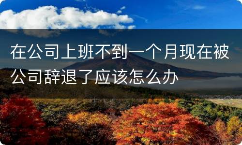 在公司上班不到一个月现在被公司辞退了应该怎么办