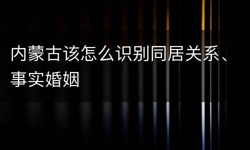 内蒙古该怎么识别同居关系、事实婚姻