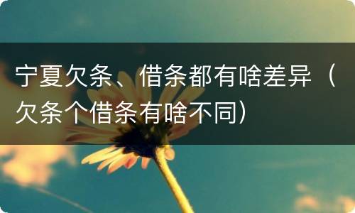 宁夏欠条、借条都有啥差异（欠条个借条有啥不同）