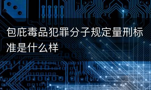包庇毒品犯罪分子规定量刑标准是什么样