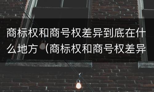 商标权和商号权差异到底在什么地方（商标权和商号权差异到底在什么地方查）