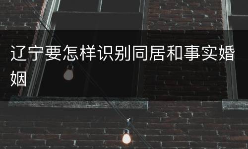 辽宁要怎样识别同居和事实婚姻