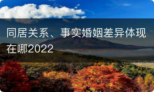 同居关系、事实婚姻差异体现在哪2022