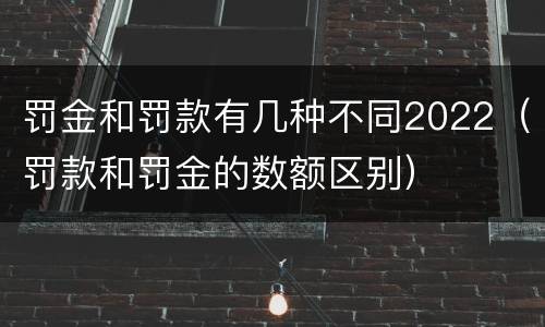 罚金和罚款有几种不同2022（罚款和罚金的数额区别）