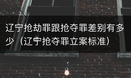 辽宁抢劫罪跟抢夺罪差别有多少（辽宁抢夺罪立案标准）