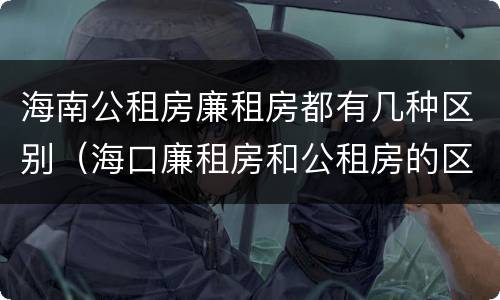 海南公租房廉租房都有几种区别（海口廉租房和公租房的区别）