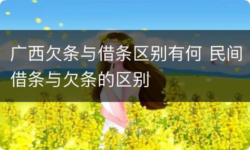 广西欠条与借条区别有何 民间借条与欠条的区别