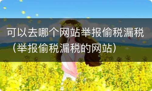 可以去哪个网站举报偷税漏税（举报偷税漏税的网站）